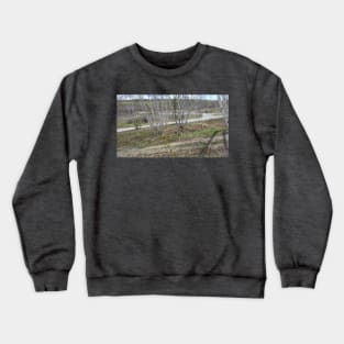 Trails Crewneck Sweatshirt